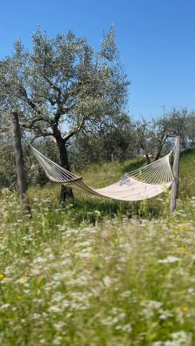 “The quieter you become, the more you can hear.” (Ram Dass) 
🕊️Come rest a while at Palare and let nature work its magic on you ✨