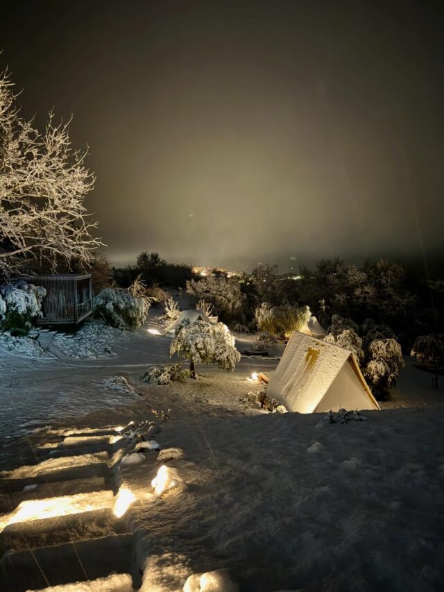 I talk a lot about peace, not world peace, although by god we need that, but inner peace. The type of peace that you can nurture through genuine acceptance of the way things are. But life’s not always peaceful, it can’t be, that’s unrealistic. Maybe even inappropriate. Sometimes you just have to rail against the machine. It’s not something I find easy to do. I’m extremely lucky. Very privileged from top to bottom and left to right. But wow this has been a challenging week. One of those weeks where you tell yourself to hold your nerve, it will all be alright in the end. I’ve lost count of the number of times I’ve proclaimed ‘what will be will be!’ Sometimes all you got in your toolbox is surrender. That’s it. Not sexy, not selling high end glamping experiences, not loveliness, and luck, just straight up surrender.