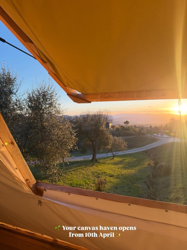 A busy week behind the scenes preparing the glamping site to welcome new travelling souls this coming April. A shimmering newly planted biolake will be revealed later this week and the Playhouse, the big Bedouin event tent, is back up on its peg legs. The yoga and dancing decks are getting sanded back and treated and new plants are taking up their new residence around the glamping tents. Progress this week couldn’t have been made without the help of Massimiliano, Raff, Nori, Alan, Alice, Mirka and Ionut. Rob and Woody, had a hand and a paw in it.