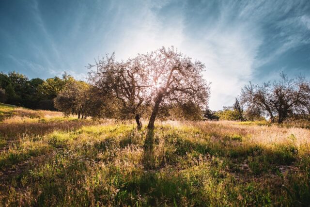 🍃 happy earth day earthlings 💚

I hope you can find yourself a piece of nature’s bounty today. Be it a big old open green space, or a flower on your desk, a walk through the park on the way home, or petting your neighbour’s cat. Tucking into some fresh green leaves for dinner, finally repotting that beleaguered house plant, or getting your feet out in the grass. 

Today especially let’s go with: the grass is greener where you water it. 🪴🎋