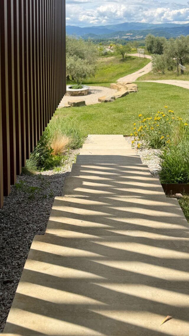 sat down in the shade for a break from weeding and saw this 

fresh perspective 

#slowliving #weeding #freshperspective